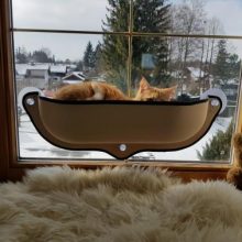 UTB8Ss.NuiaMiuJk43PTq6ySmXXaE_858b14bb-1904-4022-875e-afae8dad64e7_540x