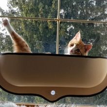 main_824162ea-e9c5-41e7-a727-c16532a3b05a_590x