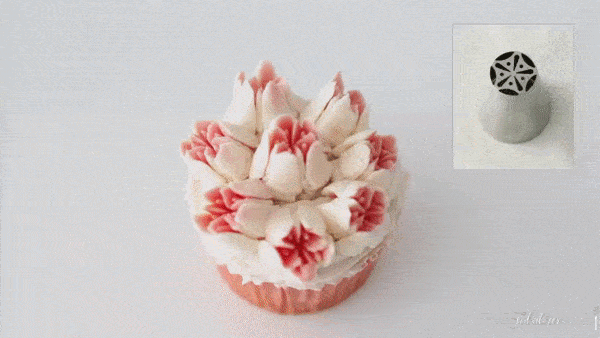 ezgif.com-optimize (1)