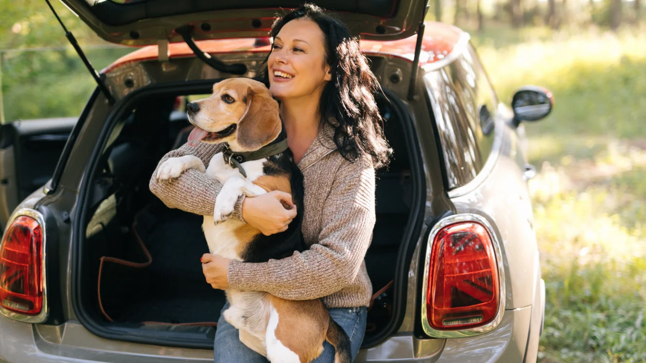 Top Back Seat Cover for Dogs A Complete Guide