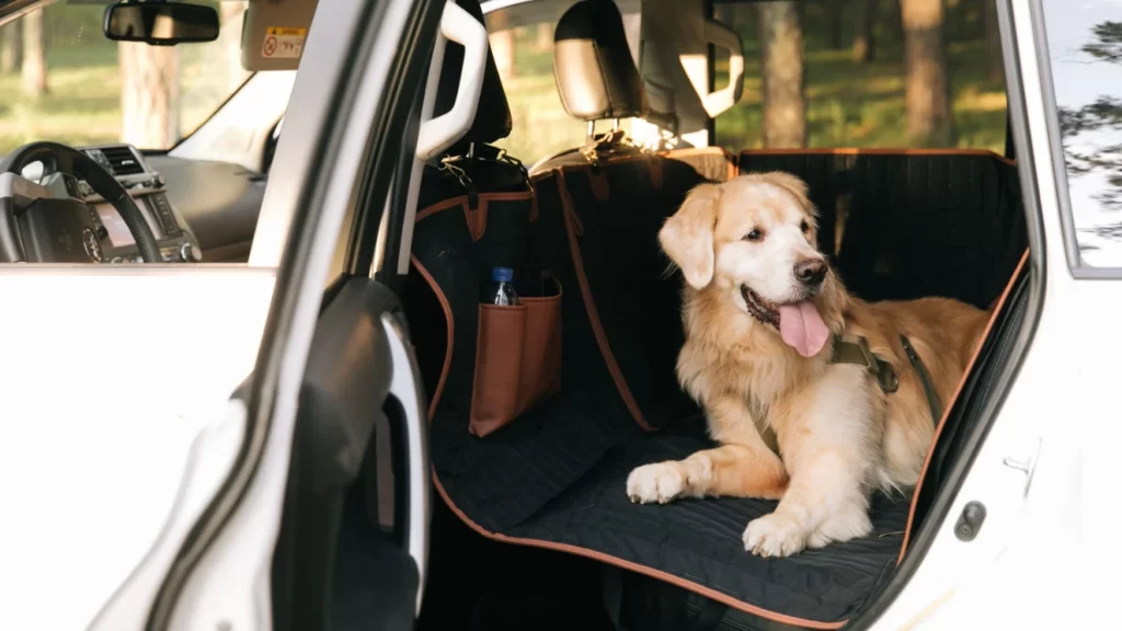 Back Seat Cover for Dogs