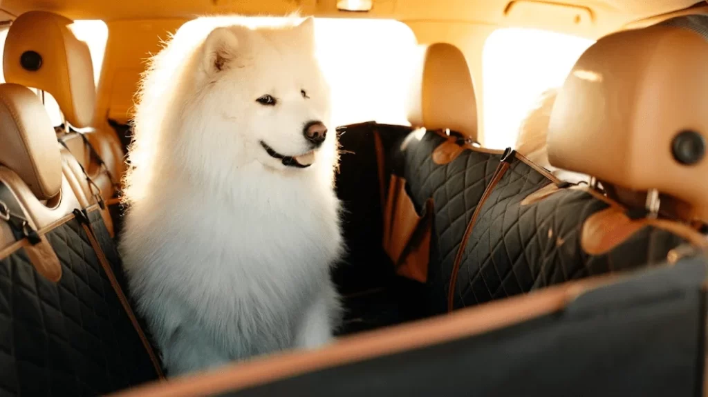 Back Seat Cover for Dogs