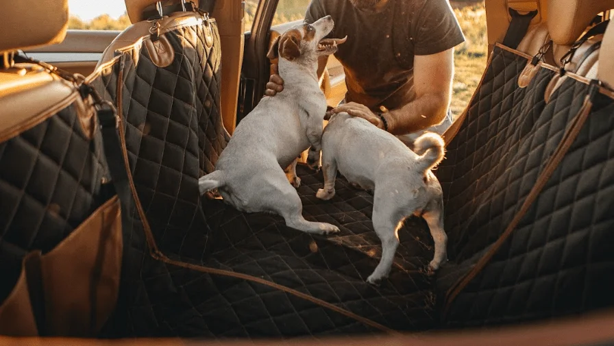 Car Back Seat Cover