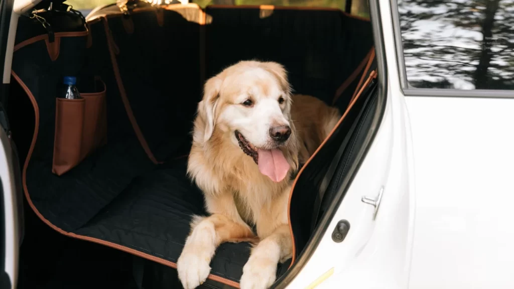 Car Dog Hammock