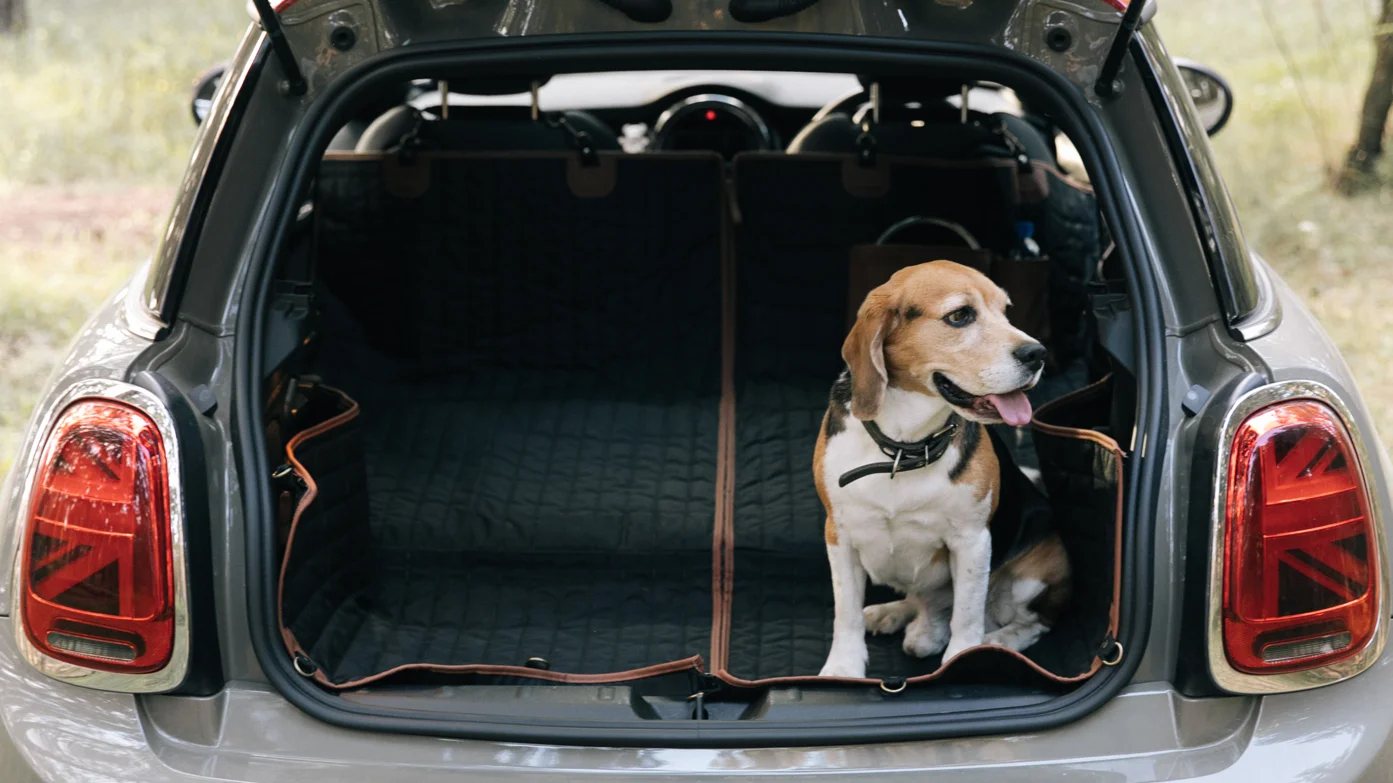 Car Dog Hammock Guide A MustHave for Pet Travel