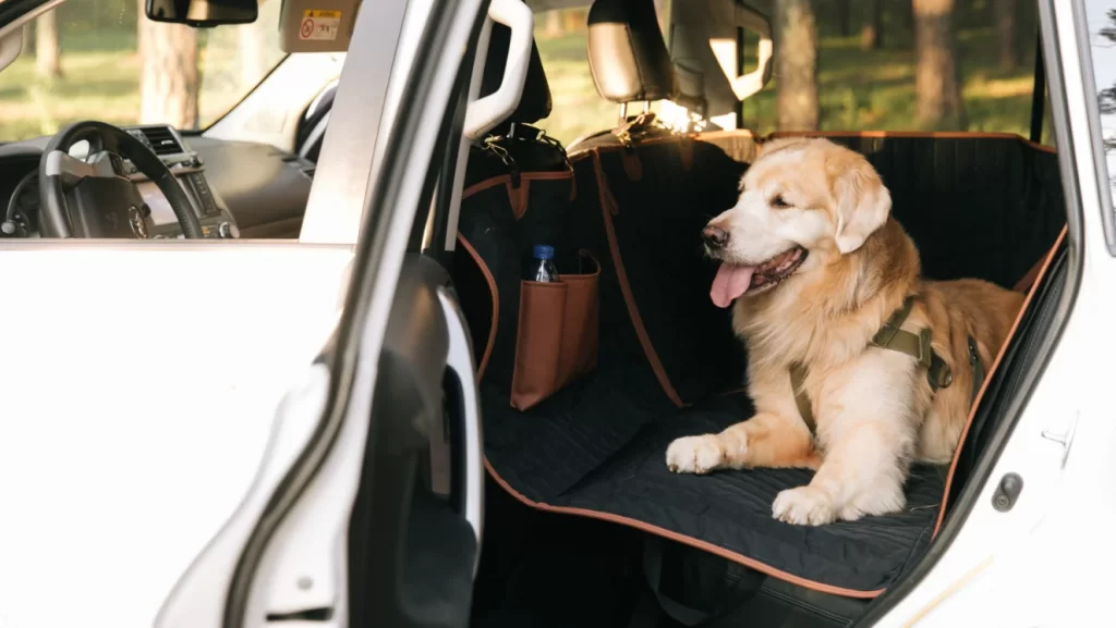 Car Dog Hammock