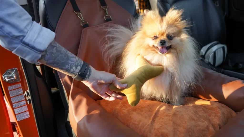 Small Dog Car Seat